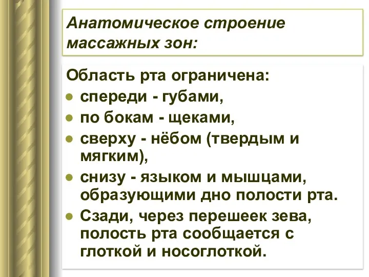 Анатомическое строение массажных зон: Область рта ограничена: спереди - губами, по