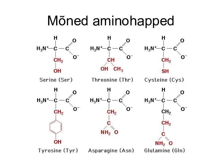 Mõned aminohapped