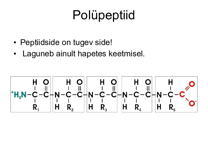 Polüpeptiid Peptiidside on tugev side! Laguneb ainult hapetes keetmisel.