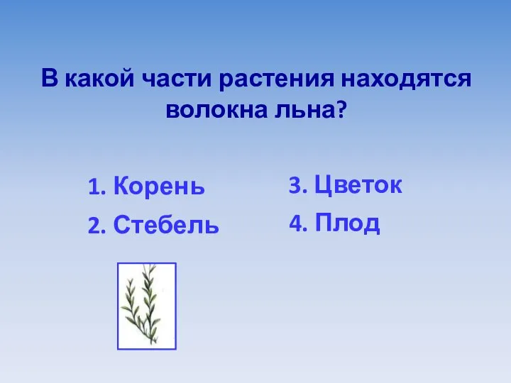 В какой части растения находятся волокна льна? 1. Корень 3. Цветок 2. Стебель 4. Плод