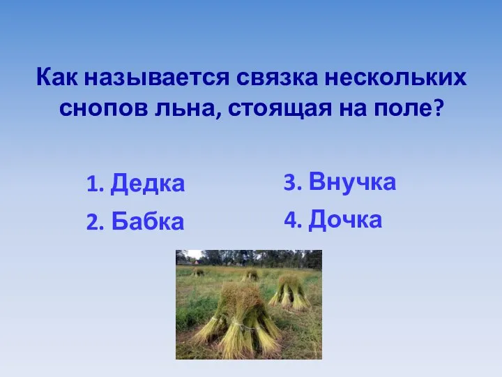 Как называется связка нескольких снопов льна, стоящая на поле? 1. Дедка