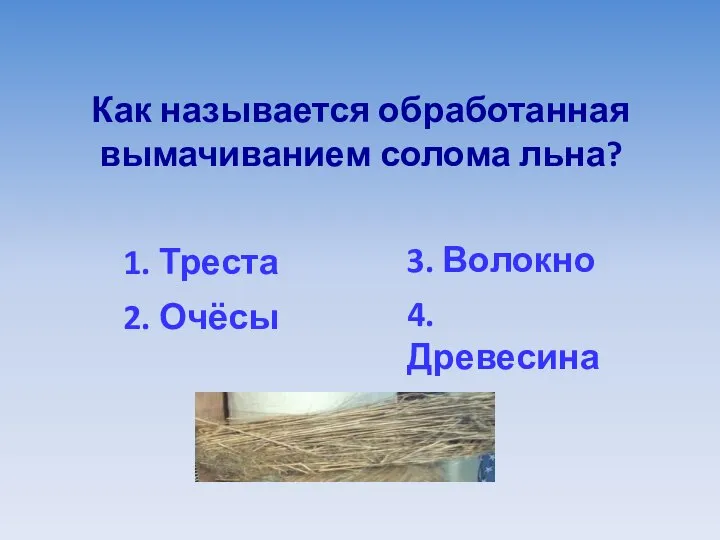 Как называется обработанная вымачиванием солома льна? 1. Треста 3. Волокно 2. Очёсы 4. Древесина