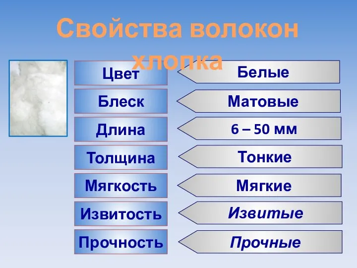 Цвет Длина Блеск Толщина Мягкость Извитость Прочность Белые Матовые 6 –