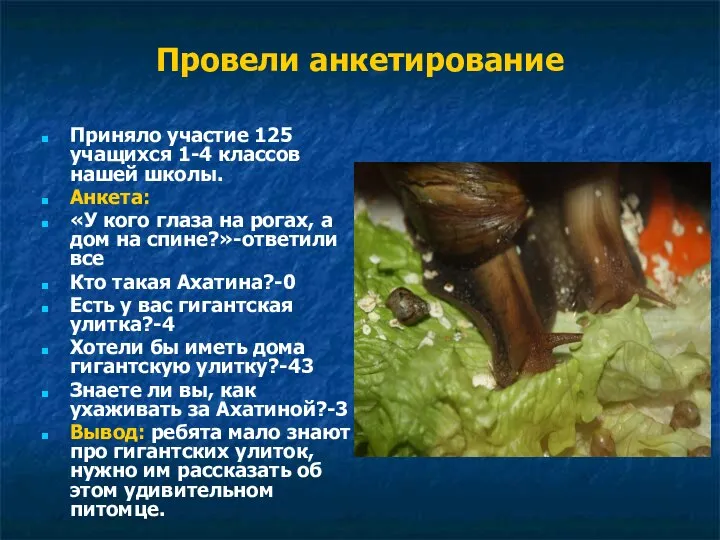 Провели анкетирование Приняло участие 125 учащихся 1-4 классов нашей школы. Анкета: