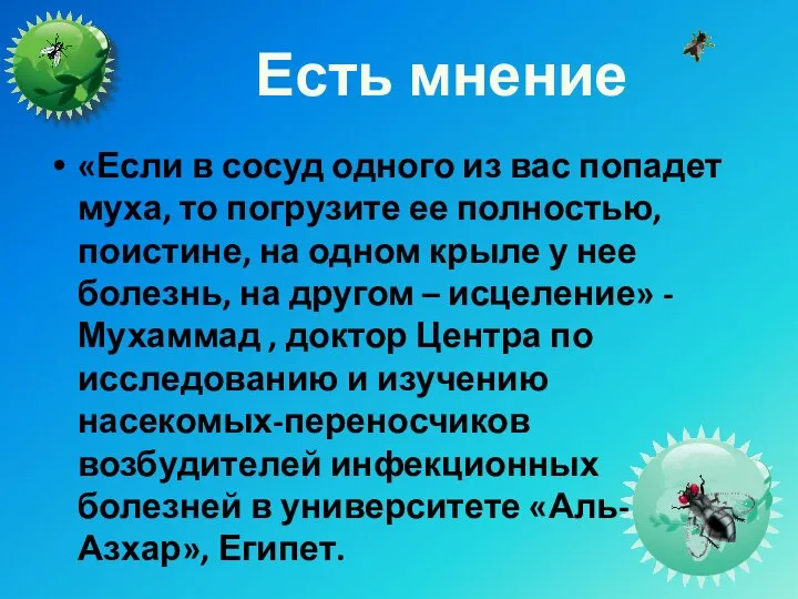 Есть мнение «Если в сосуд одного из вас попадет муха, то