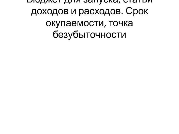 Бюджет для запуска, статьи доходов и расходов. Срок окупаемости, точка безубыточности