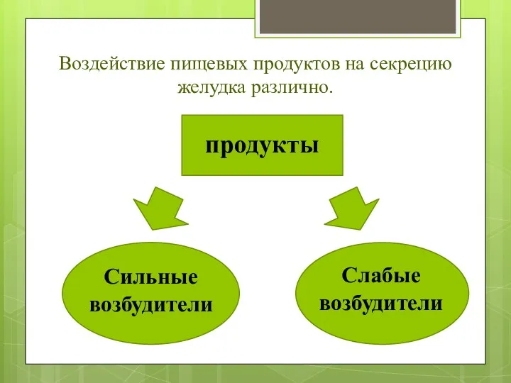 Воздействие пищевых продуктов на секрецию желудка различно. продукты Сильные возбудители Слабые возбудители