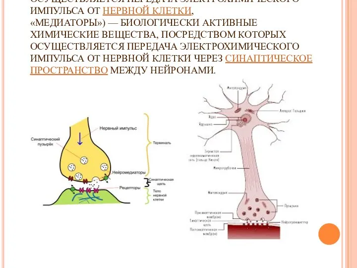 НЕЙРОМЕДИА́ТОРЫ (НЕЙРОТРАНСМИТТЕРЫ, ПОСРЕДНИКИ, «МЕДИАТОРЫ») — БИОЛОГИЧЕСКИ АКТИВНЫЕ ХИМИЧЕСКИЕ ВЕЩЕСТВА, «МЕДИАТОРЫ») —