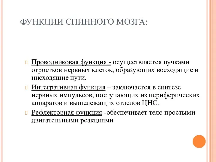 ФУНКЦИИ СПИННОГО МОЗГА: Проводниковая функция - осуществляется пучками отростков нервных клеток,