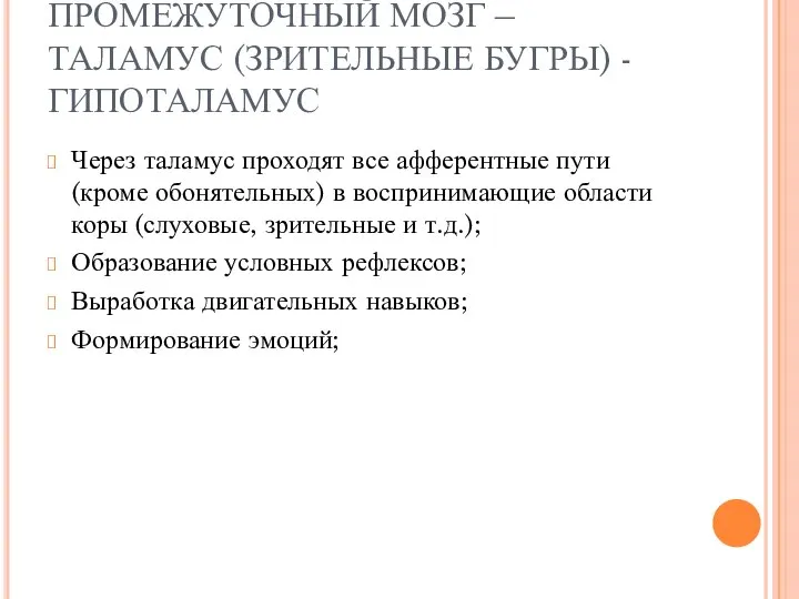 ПРОМЕЖУТОЧНЫЙ МОЗГ – ТАЛАМУС (ЗРИТЕЛЬНЫЕ БУГРЫ) - ГИПОТАЛАМУС Через таламус проходят