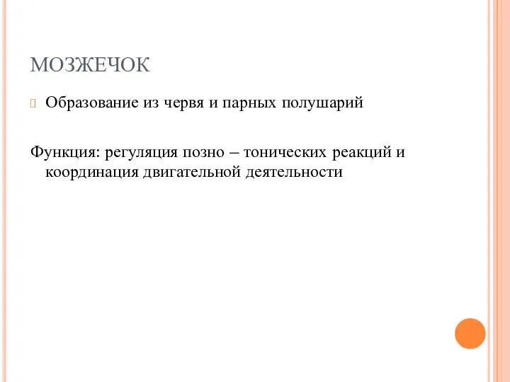 МОЗЖЕЧОК Образование из червя и парных полушарий Функция: регуляция позно –