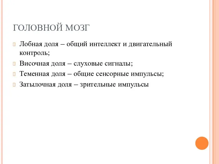 ГОЛОВНОЙ МОЗГ Лобная доля – общий интеллект и двигательный контроль; Височная