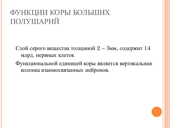 ФУНКЦИИ КОРЫ БОЛЬШИХ ПОЛУШАРИЙ Слой серого вещества толщиной 2 – 3мм,