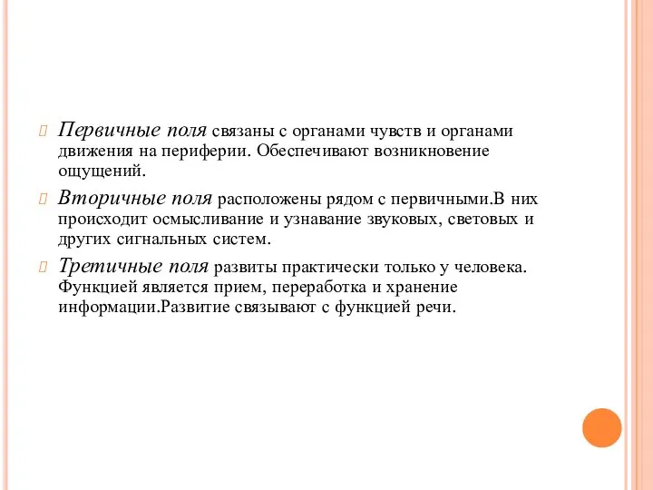 Первичные поля связаны с органами чувств и органами движения на периферии.