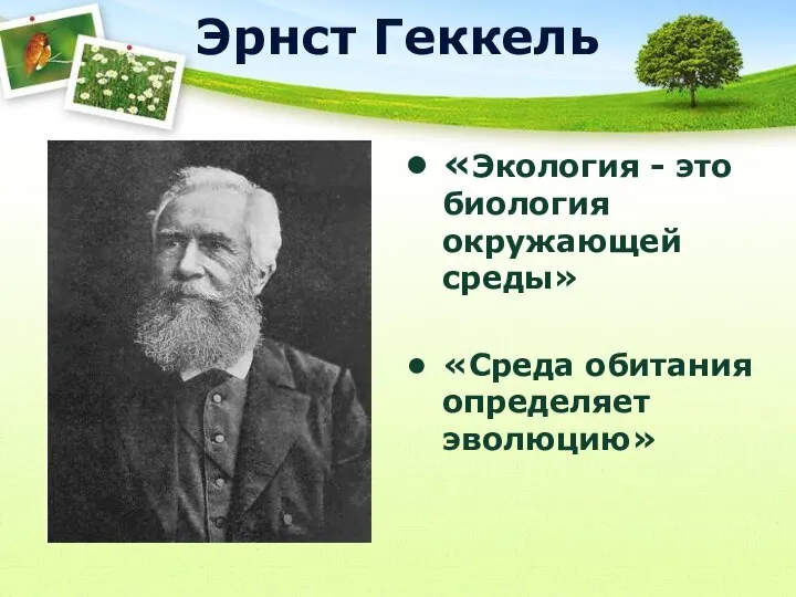 Эрнст Геккель «Экология - это биология окружающей среды» «Среда обитания определяет эволюцию»