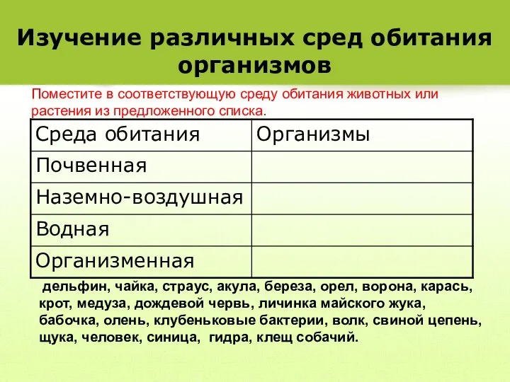 Изучение различных сред обитания организмов дельфин, чайка, страус, акула, береза, орел,