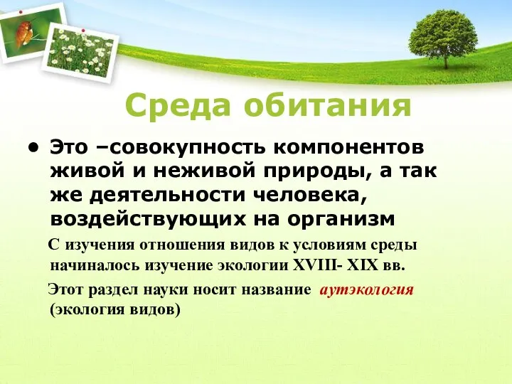 Среда обитания Это –совокупность компонентов живой и неживой природы, а так