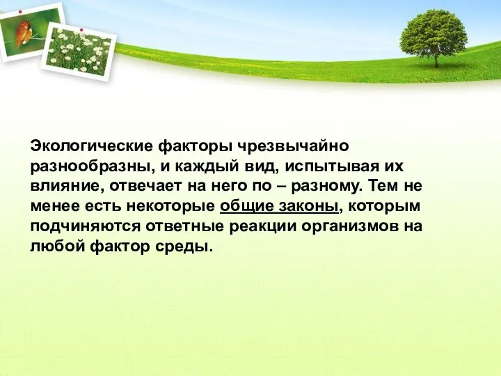 Экологические факторы чрезвычайно разнообразны, и каждый вид, испытывая их влияние, отвечает