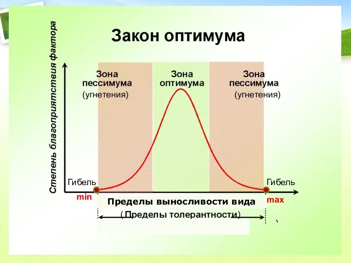 Гибель Гибель max min Пределы выносливости вида ( ) (угнетения) (угнетения) фактора