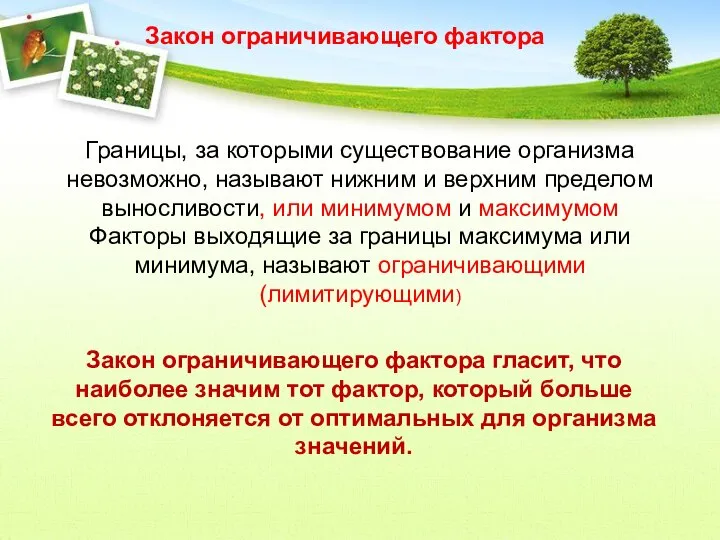 Закон ограничивающего фактора гласит, что наиболее значим тот фактор, который больше