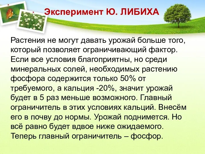 Растения не могут давать урожай больше того, который позволяет ограничивающий фактор.