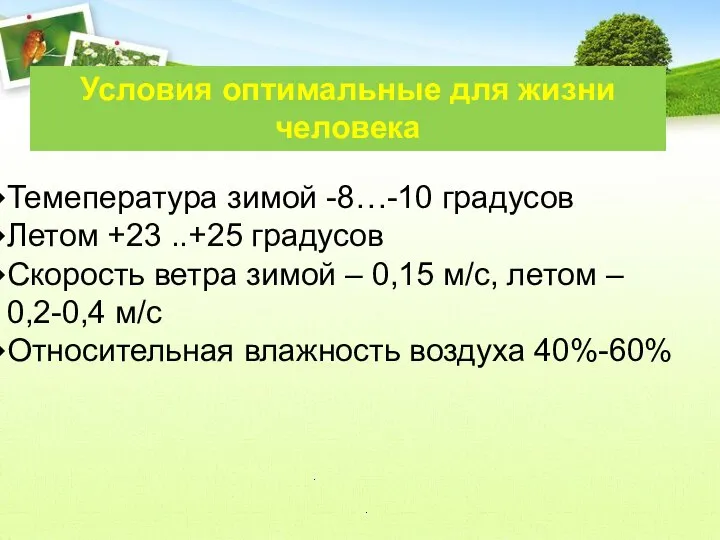 Условия оптимальные для жизни человека Темепература зимой -8…-10 градусов Летом +23