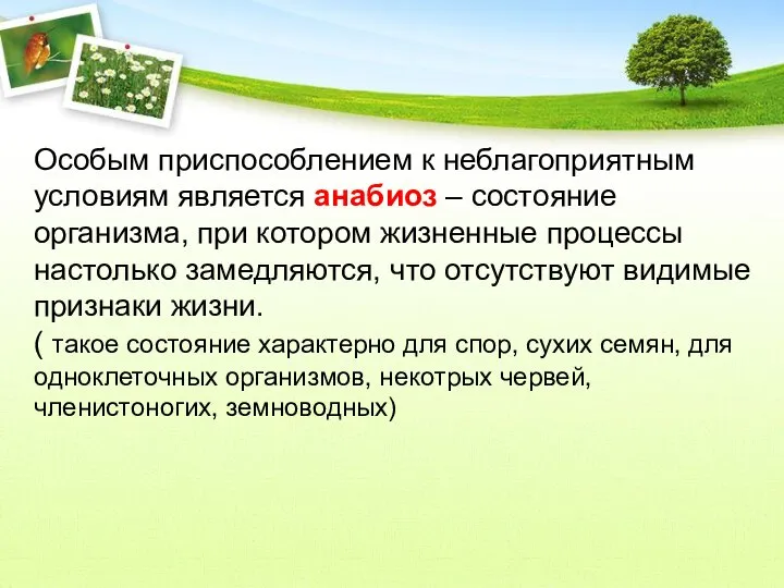 Особым приспособлением к неблагоприятным условиям является анабиоз – состояние организма, при