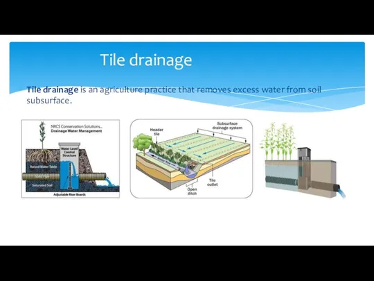 Tile drainage is an agriculture practice that removes excess water from soil subsurface. Tile drainage