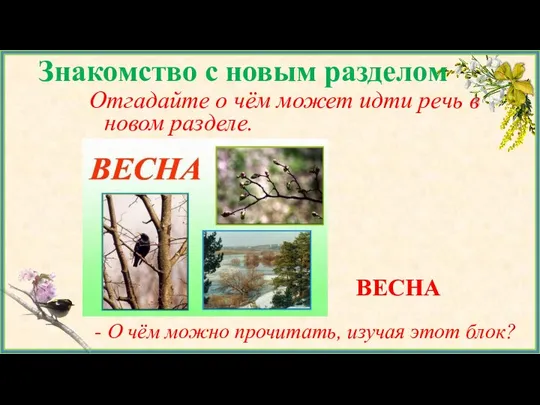 Знакомство с новым разделом Отгадайте о чём может идти речь в