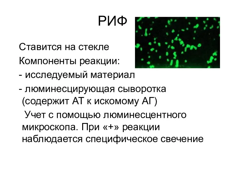 РИФ Ставится на стекле Компоненты реакции: - исследуемый материал - люминесцирующая