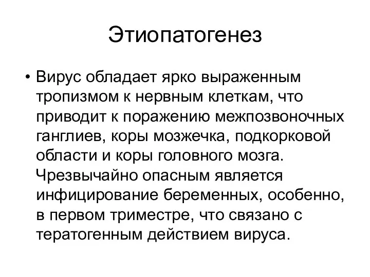 Этиопатогенез Вирус обладает ярко выраженным тропизмом к нервным клеткам, что приводит