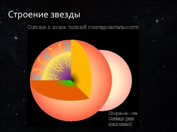 Строение звезды