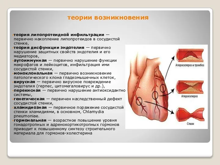 теории возникновения теория липопротеидной инфильтрации — первично накопление липопротеидов в сосудистой