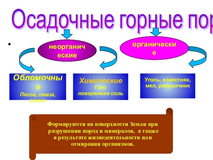 Осадочные горные породы неорганические органические Химические Гипс поваренная соль Уголь, известняк,