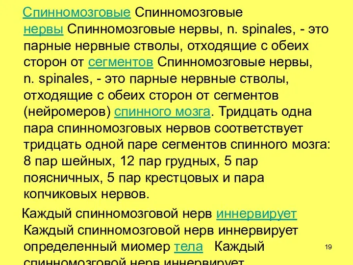 Спинномозговые Спинномозговые нервы Спинномозговые нервы, n. spinales, - это парные нервные