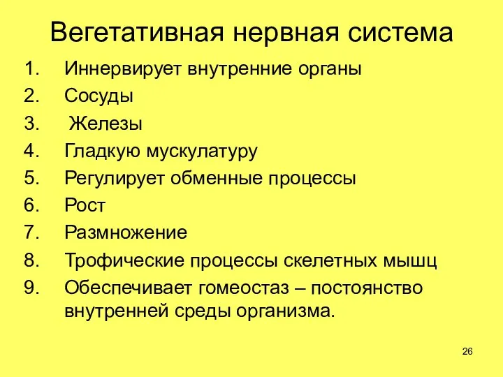 Вегетативная нервная система Иннервирует внутренние органы Сосуды Железы Гладкую мускулатуру Регулирует