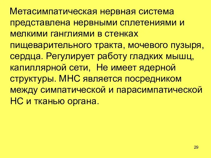 Метасимпатическая нервная система представлена нервными сплетениями и мелкими ганглиями в стенках