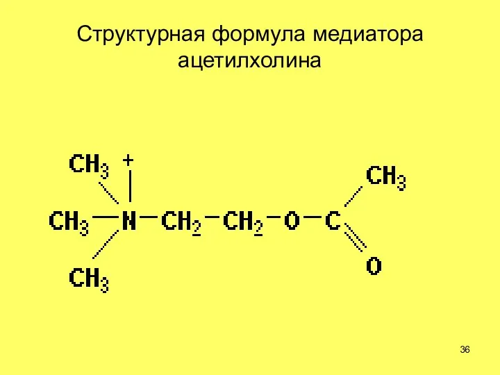 Структурная формула медиатора ацетилхолина