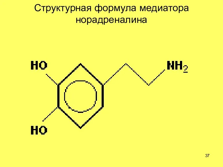 Структурная формула медиатора норадреналина