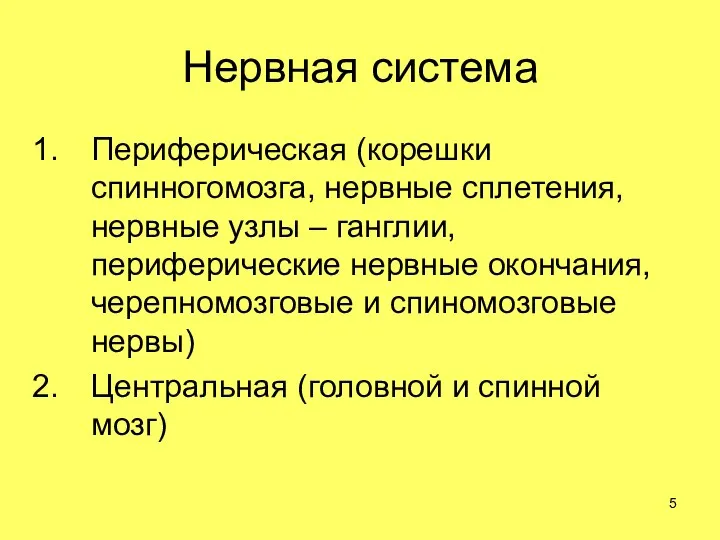 Нервная система Периферическая (корешки спинногомозга, нервные сплетения, нервные узлы – ганглии,