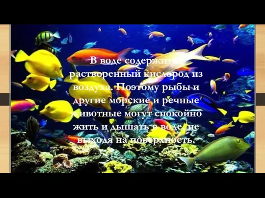 В воде содержится растворенный кислород из воздуха. Поэтому рыбы и другие