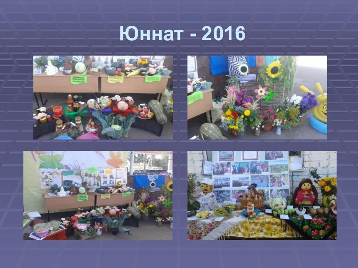 Юннат - 2016