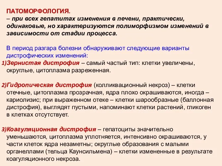 ПАТОМОРФОЛОГИЯ. – при всех гепатитах изменения в печени, практически, одинаковые, но