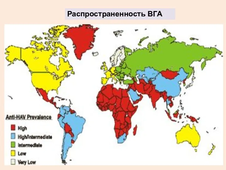 Распространенность ВГА