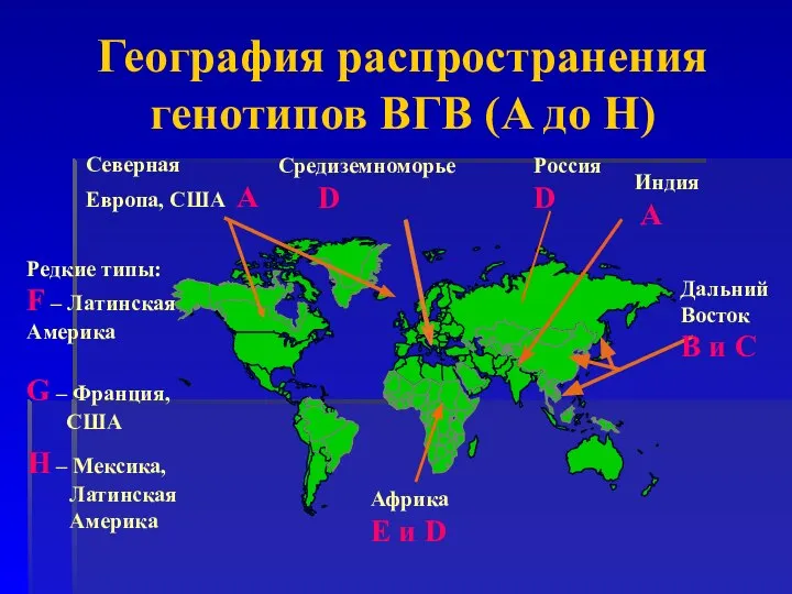 Редкие типы: F – Латинская Америка G – Франция, США H