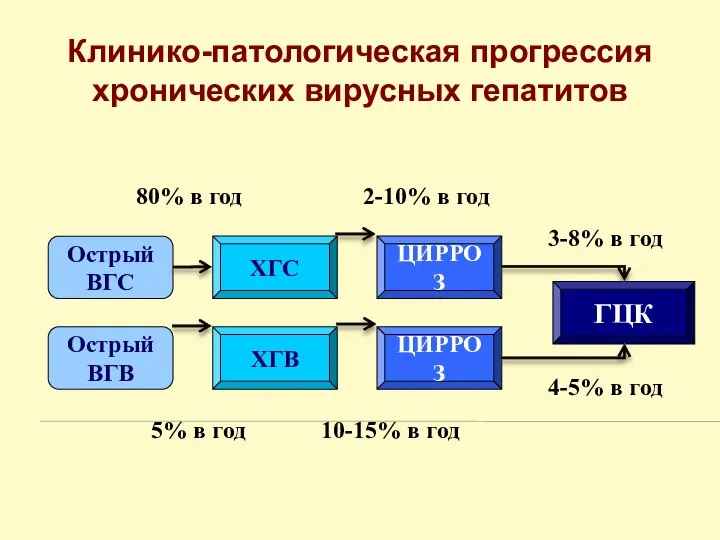 Клинико-патологическая прогрессия хронических вирусных гепатитов Острый ВГС Острый ВГB ГЦК ХГС