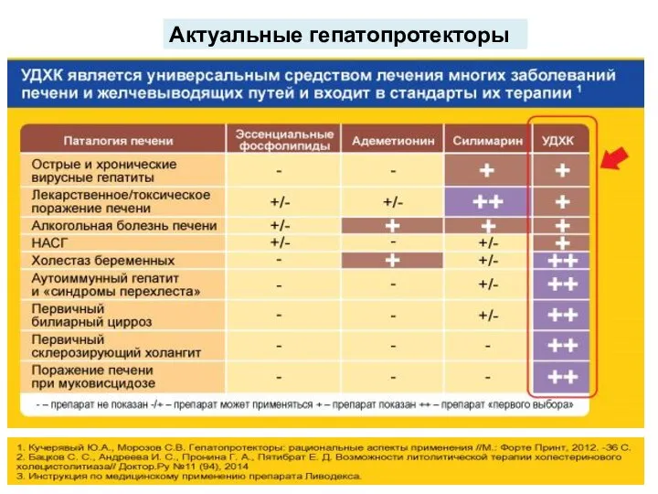 Актуальные гепатопротекторы