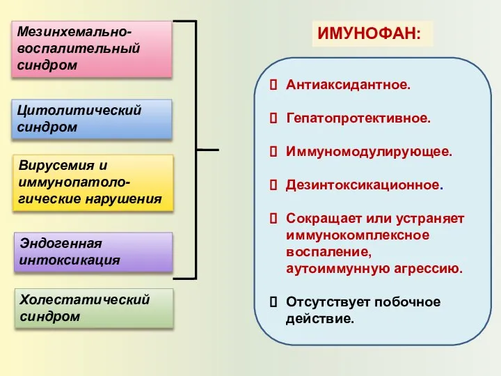 Цитолитический синдром Холестатический синдром Вирусемия и иммунопатоло- гические нарушения Мезинхемально-воспалительный синдром