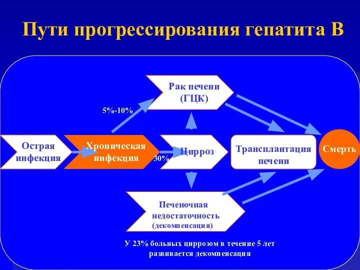 Острая инфекция Рак печени (ГЦК) Цирроз Трансплантация печени Печеночная недостаточность (декомпенсация)