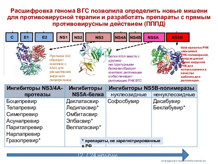 Расшифровка генома ВГС позволила определить новые мишени для противовирусной терапии и